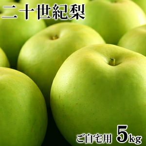 鳥取県産 二十世紀梨（20世紀梨）5kg詰（16玉前後入） 訳あり（ご自宅