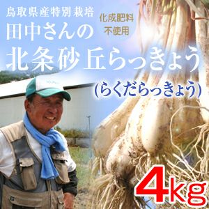 鳥取県産特別栽培 田中さんの北条砂丘らっきょう4kg（根付き土