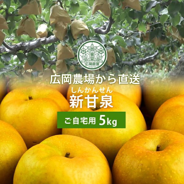 ア*キ様 新甘泉【訳あり 自家用】5キロ（鳥取県産）極上の