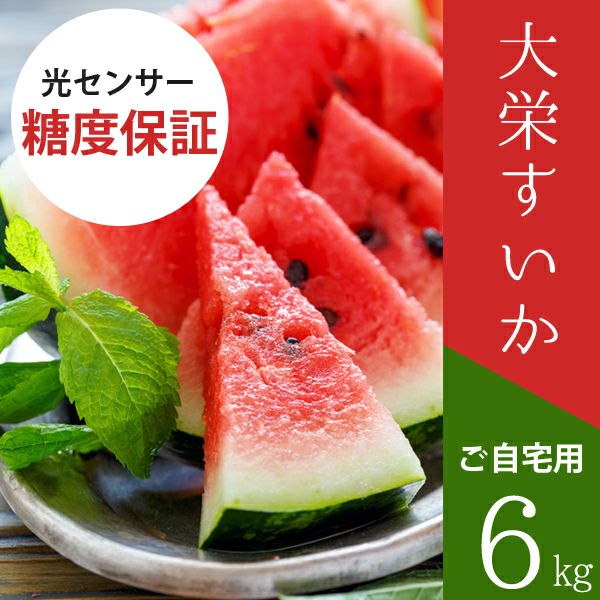 【使用不可】限定Suica　6種 使用不可】限定Suica6種