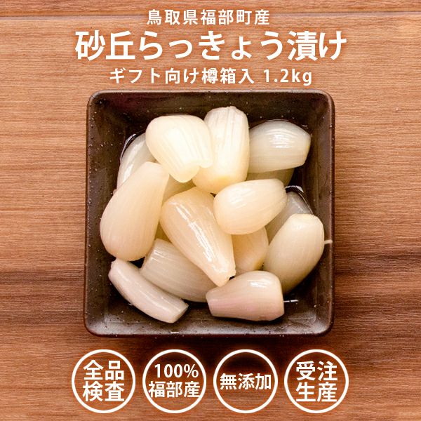 砂丘らっきょう漬け 鳥取県福部町産 ギフト向け樽箱入1.2kg 無